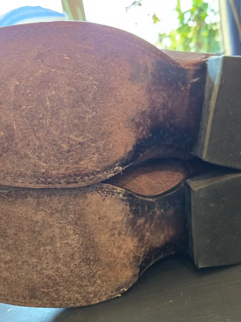 Ariat size ee